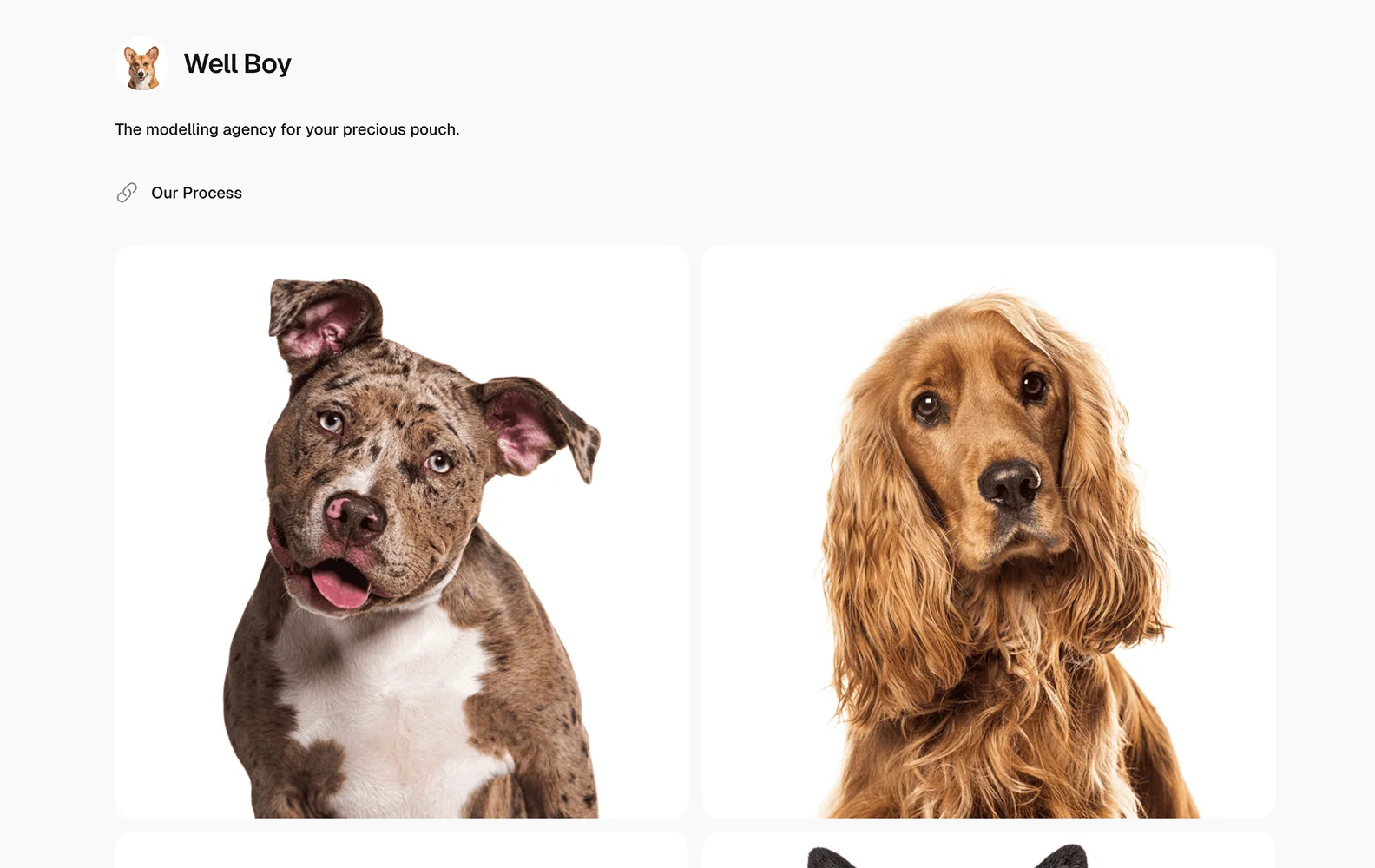 Wellboy portfolio